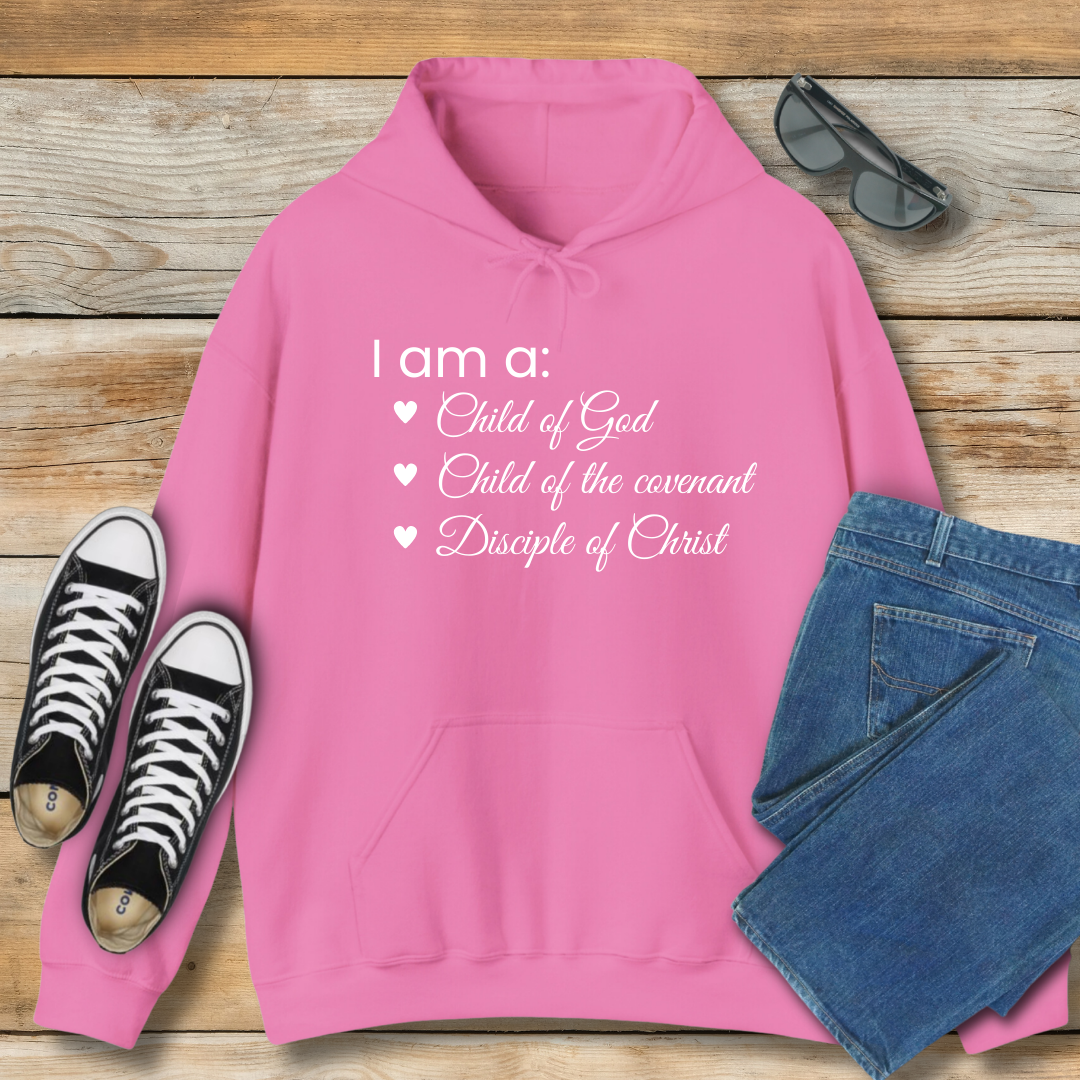 I am a: Child of God Hoodie