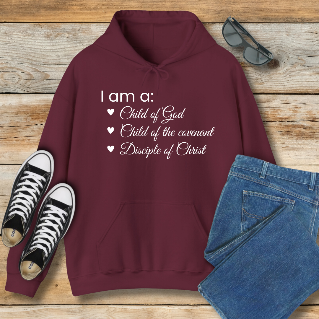 I am a: Child of God Hoodie