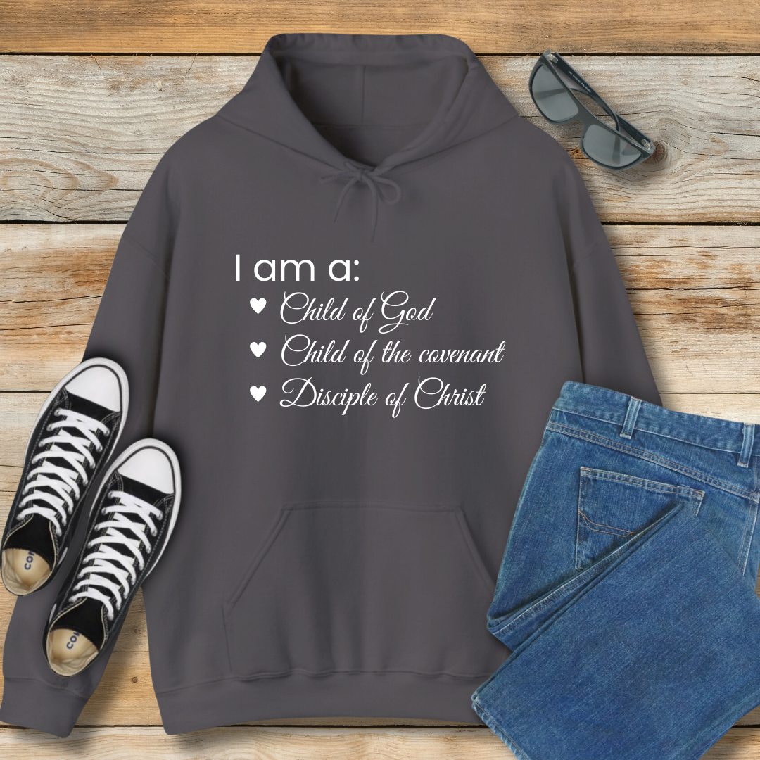 I am a: Child of God Hoodie